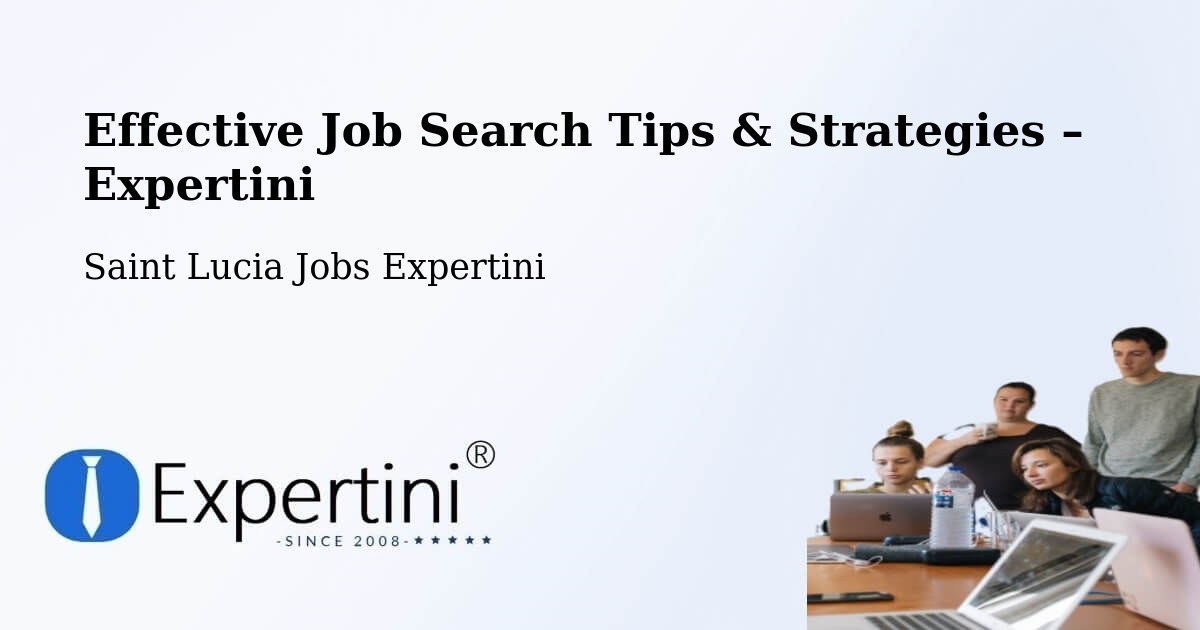 Job Search Tips & Strategies for Job Seekers – New Development - New Development, Saint Lucia Jobs Expertini